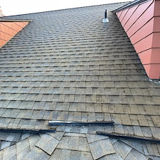 Roof-Moss-Removal-in-Pullman 2